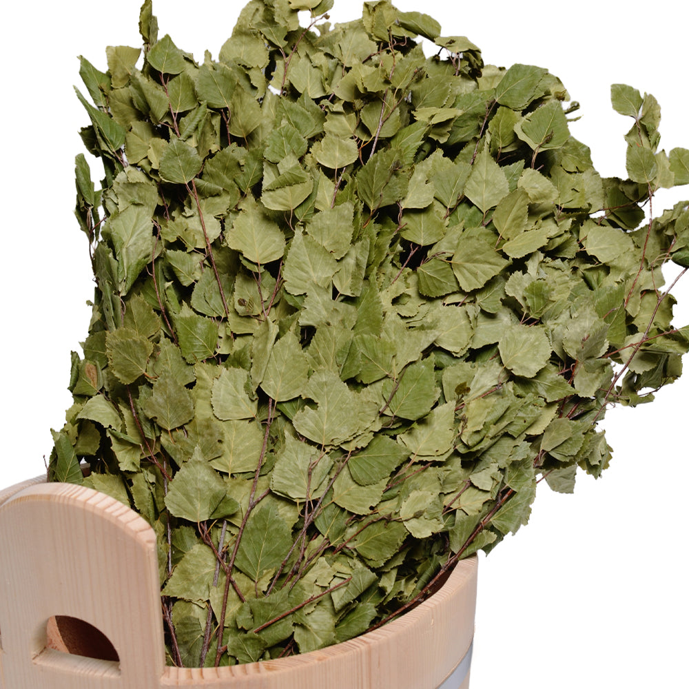 Birch Branch Bath Whisk for Traditional Sauna