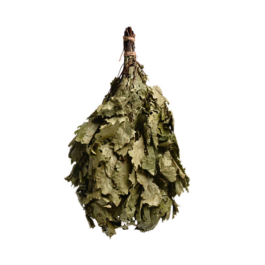 Badebesen aus Eichenzweig für die traditionelle Sauna